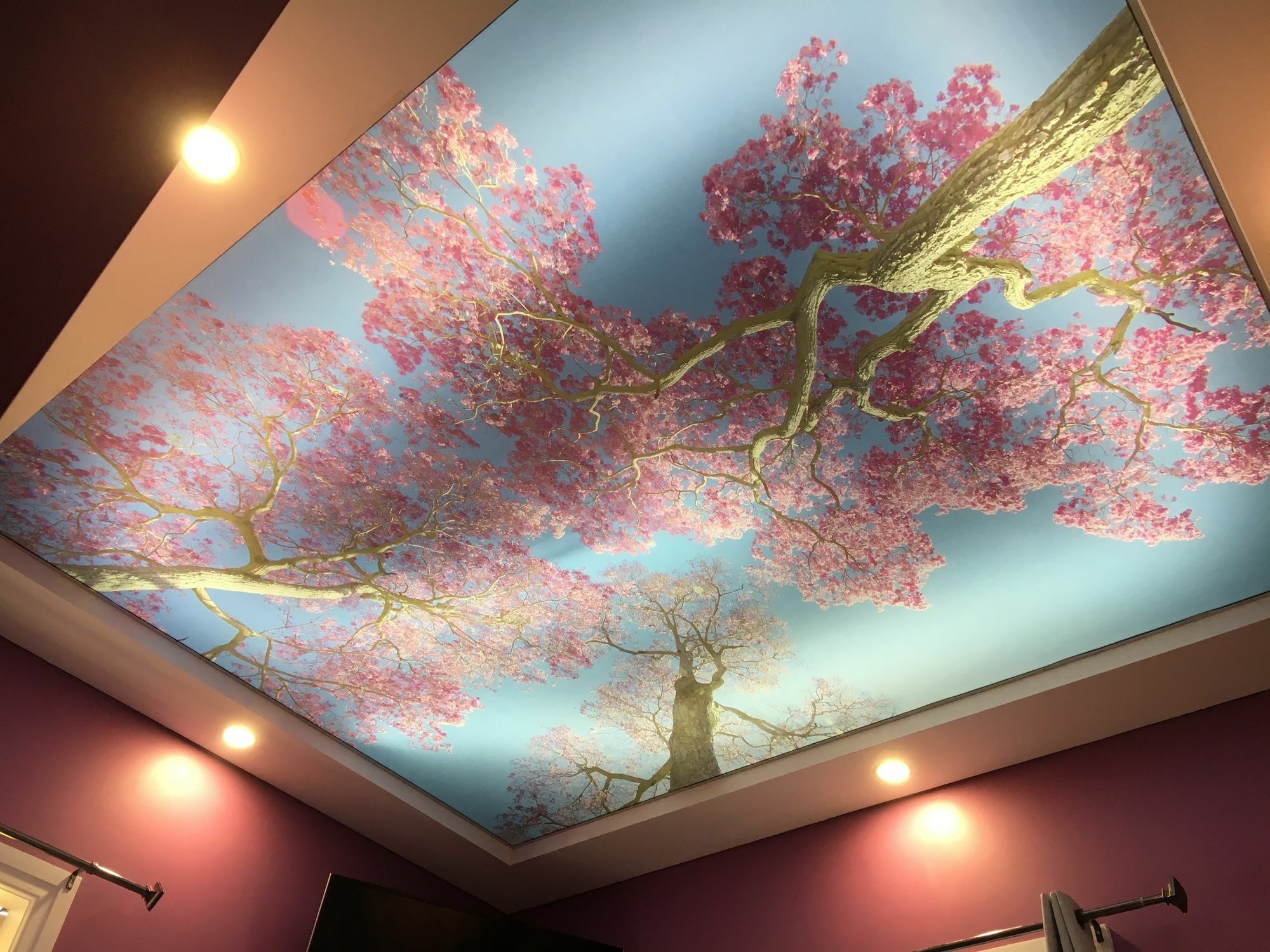 Amelia Boutique Hotel Brisbane Bagian luar foto